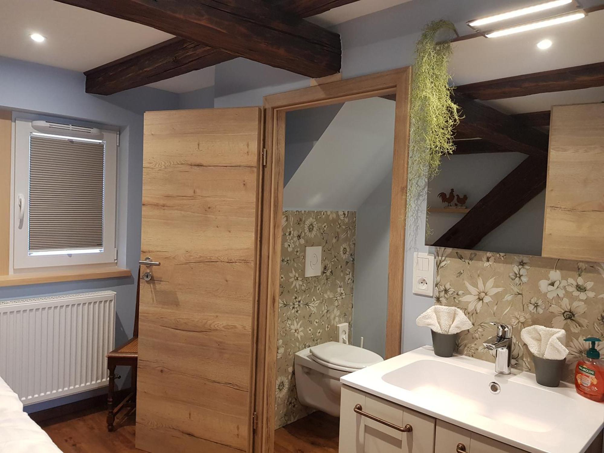 Apartament L'Escale D'Alsace Lièpvre Zewnętrze zdjęcie